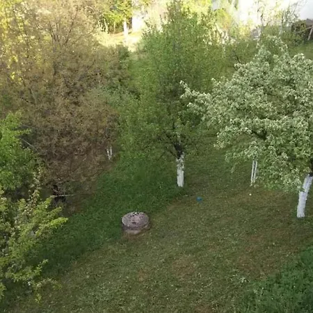 Sarajevo Vila סראייבו
